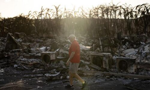 Pain, anger as Hawaii fire death toll climbs to 93