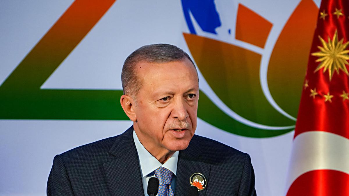 Any grain initiative that isolates Russia is bound to fail: Turkey President
